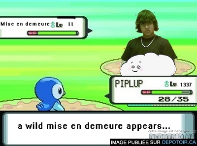 A wild Mise en demeure appears A wild Mise en demeure appears