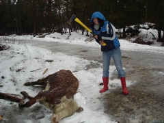 Petite Soeur qui mange des beignes dans le desert