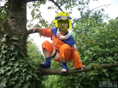 Ninja of the internet