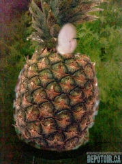 Ton costume d'halloween man