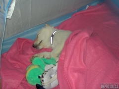 My Doggg, Blondiie:P