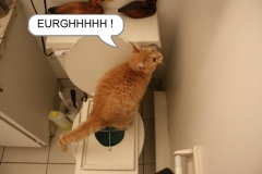 FERMEZ LA PORTE CRISSE!