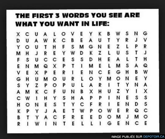 The first 3 words you see are what you want in life