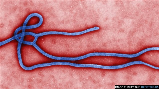 Le virus Ebola