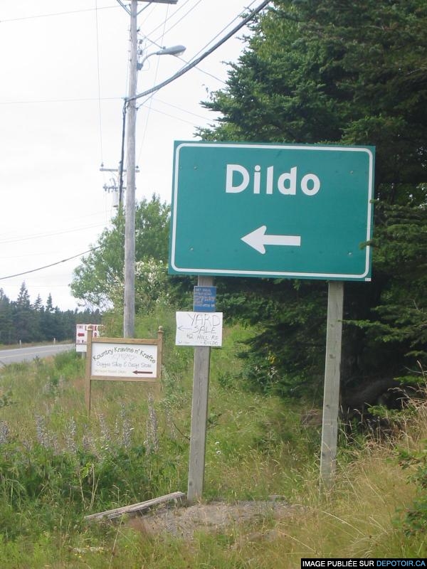 Dildo is a town on the island of Newfoundland, in the province of Newfoundland and Labrador, Canada.