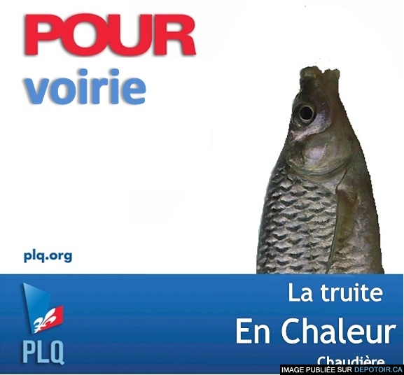 Votez PLQ gang de poissons