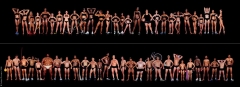 Howard Schatz's Images Of Athletes