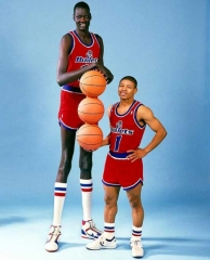 True or False: Half of All 7-Footers are in the NBA ?
