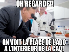 François Legault regarde... la place de l'ADQ!