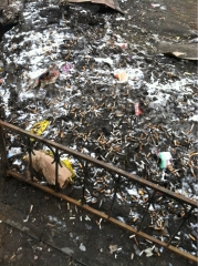 L'hiver est terminé.