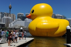 629229 canard geant pour adultes Peu