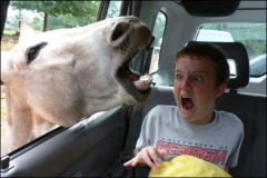 Ce kid a jamais vu Jurassic Park