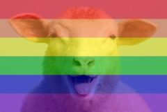 Votre nouvelle photo de profil Facebook