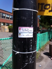 Marketing viral