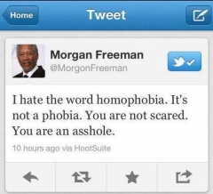 Morgan Freeman et le racisme