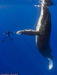 High five!