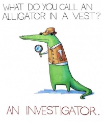 Comment on appelle ça...