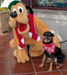 C'est beau le fan service, quand même