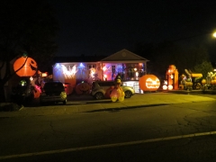 Mon voisin est un sauté....