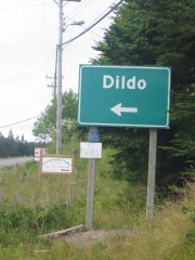 Dildo is a town on the island of Newfoundland, in the province of Newfoundland and Labrador, Canada.