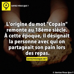 Saviez-vous que ? (suite)