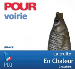 Votez PLQ gang de poissons