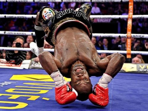 post-133-016914800 1295456394_thumb.jpg