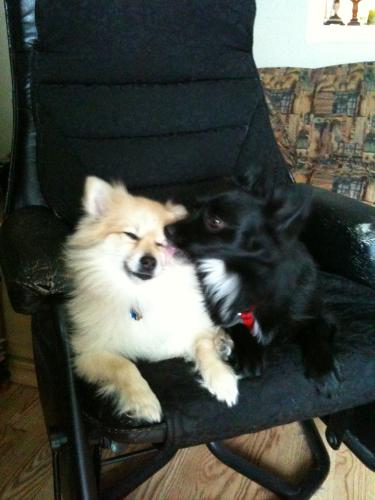 post-3680-099981600 1294850951_thumb.jpg