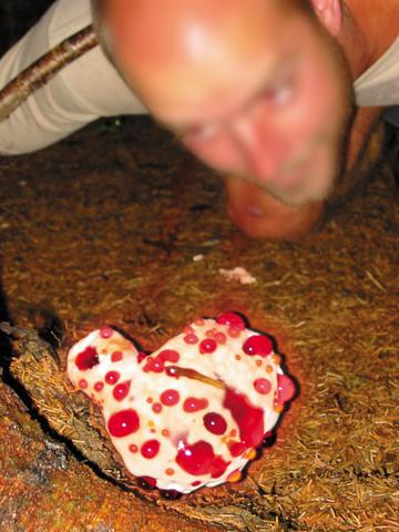 post-4761-057350300 1296184071_thumb.jpg