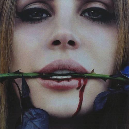 post-133-009855000 1325796049_thumb.jpeg