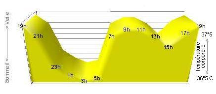 post-133-013124400 1325487135_thumb.jpg