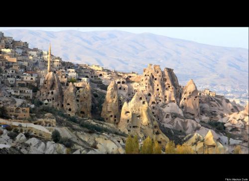 post-133-073006700 1297477023_thumb.jpg