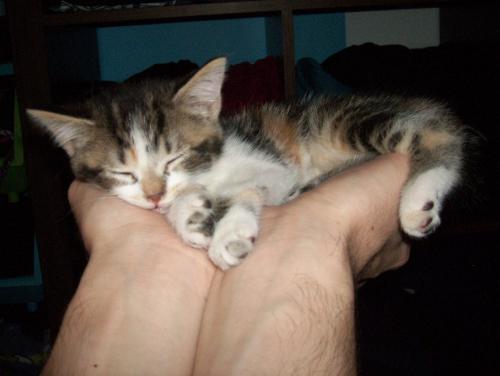 post-246-075730300 1296599527_thumb.jpg