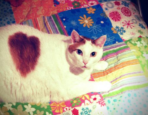 post-184-012265700 1300487440_thumb.jpg