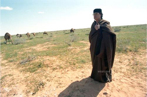 post-4761-019754200 1301025722_thumb.jpg