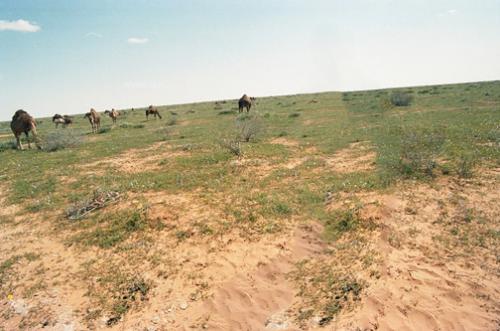 post-4761-033050100 1301026303_thumb.jpg