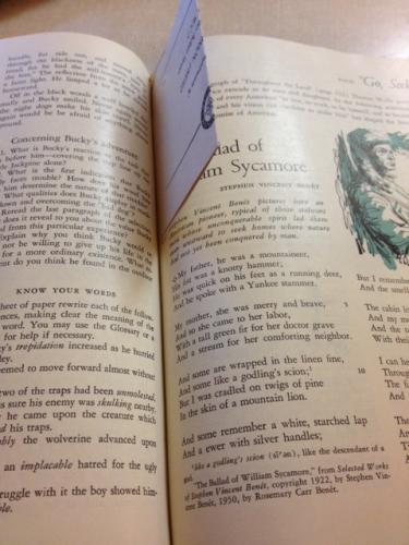 post-7403-0-18247200-1362447970_thumb.jp