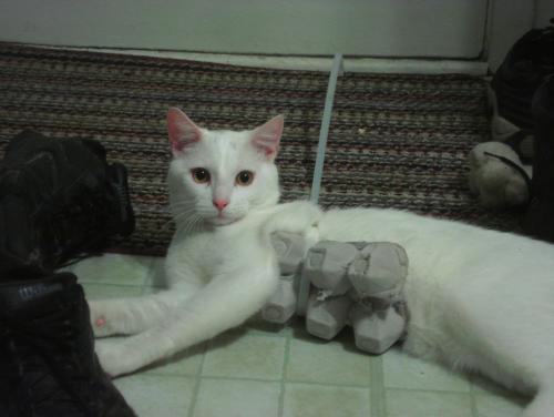 post-259-068646500 1305678068_thumb.jpg