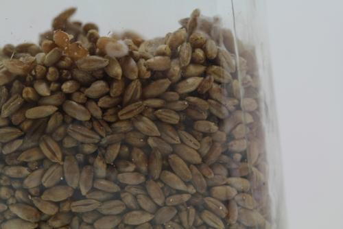 post-452-031312200 1338474238_thumb.jpg