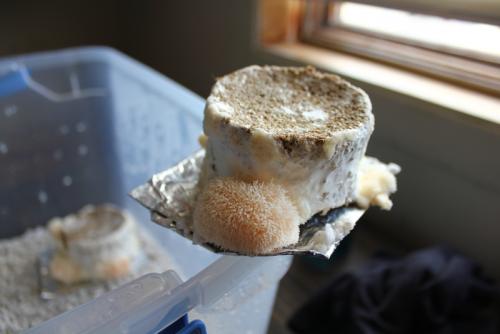 post-452-047235400 1338474254_thumb.jpg