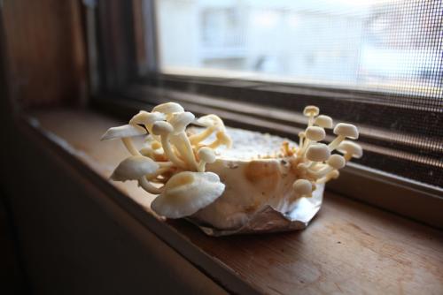 post-452-082932600 1338474251_thumb.jpg