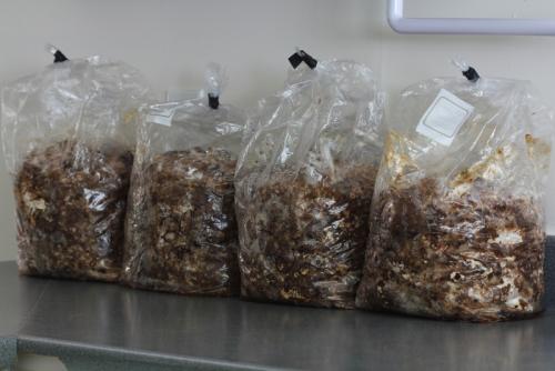 post-452-092084200 1338479175_thumb.jpg