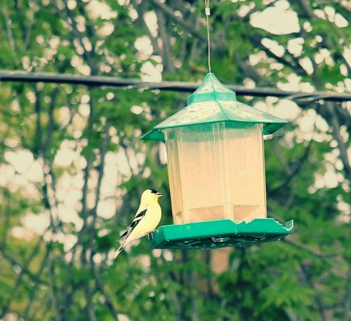 post-8261-0-25253900-1400275120_thumb.jp