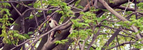 post-8261-0-80900200-1400274514_thumb.jp