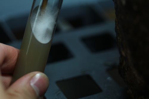 post-452-022669200 1338899120_thumb.jpg