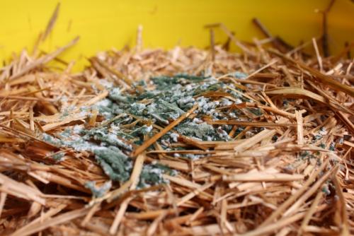 post-452-036186600 1338587120_thumb.jpg