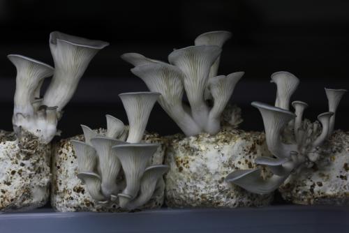 post-452-038018100 1338938879_thumb.jpg