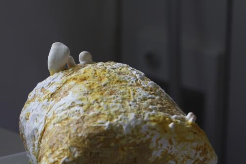 post-452-061232500 1338899133_thumb.jpg