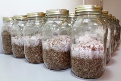 post-452-061914700 1338587115_thumb.jpg