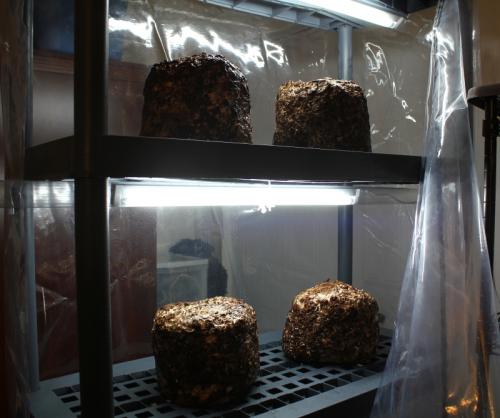 post-452-083965400 1338899130_thumb.jpg